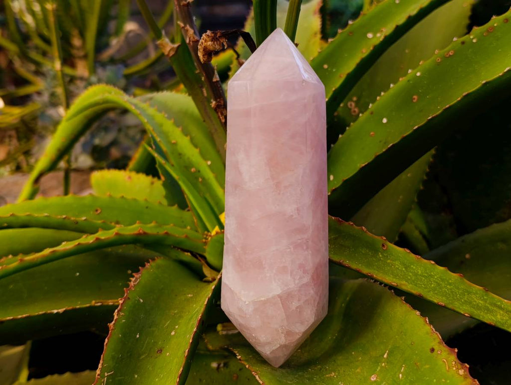 Polished Double Terminated Rose Quartz Points x 2 Madagascar - Toprock Gemstones and Minerals 