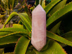 Polished Double Terminated Rose Quartz Points x 2 Madagascar - Toprock Gemstones and Minerals 