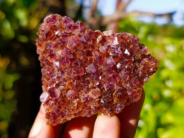 Natural Amethystos Amethyst Clusters x 35 From Kwaggafontein, South Africa