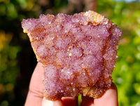Natural Amethystos Amethyst Clusters x 35 From Kwaggafontein, South Africa