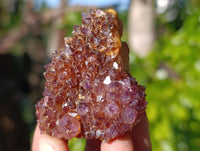 Natural Amethystos Amethyst Clusters x 35 From Kwaggafontein, South Africa