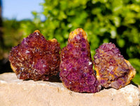 Natural Amethystos Amethyst Clusters x 35 From Kwaggafontein, South Africa