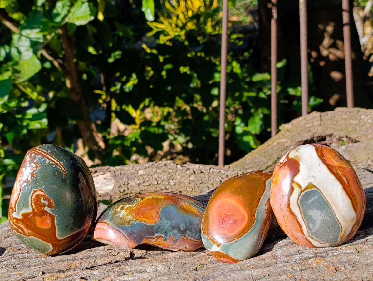 Polished On One Side Polychrome Jasper x 4 From Mahajanga, Madagascar - Toprock Gemstones and Minerals 