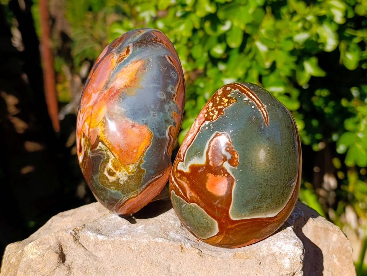 Polished On One Side Polychrome Jasper x 4 From Mahajanga, Madagascar - Toprock Gemstones and Minerals 