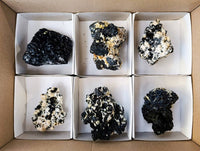 Natural Schorl Black Tourmaline Specimens x 6 From Erongo, Namibia