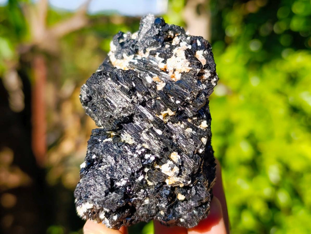 Natural Schorl Black Tourmaline Specimens x 6 From Erongo, Namibia - Toprock Gemstones and Minerals 
