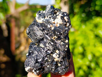 Natural Schorl Black Tourmaline Specimens x 6 From Erongo, Namibia