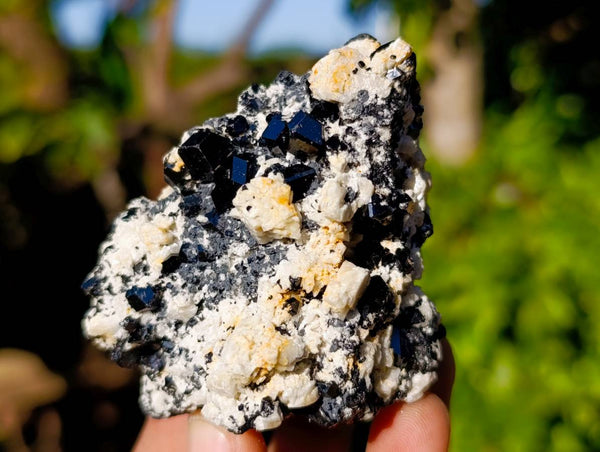 Natural Schorl Black Tourmaline Specimens x 6 From Erongo, Namibia