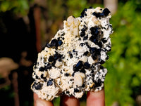 Natural Schorl Black Tourmaline Specimens x 6 From Erongo, Namibia