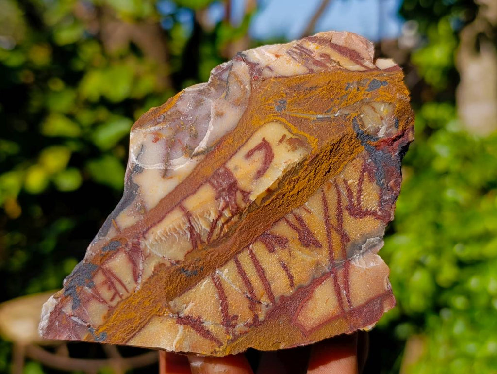 Natural Nguni Jasper Cobbed Specimens x 12 From Prieska, South Africa - Toprock Gemstones and Minerals 