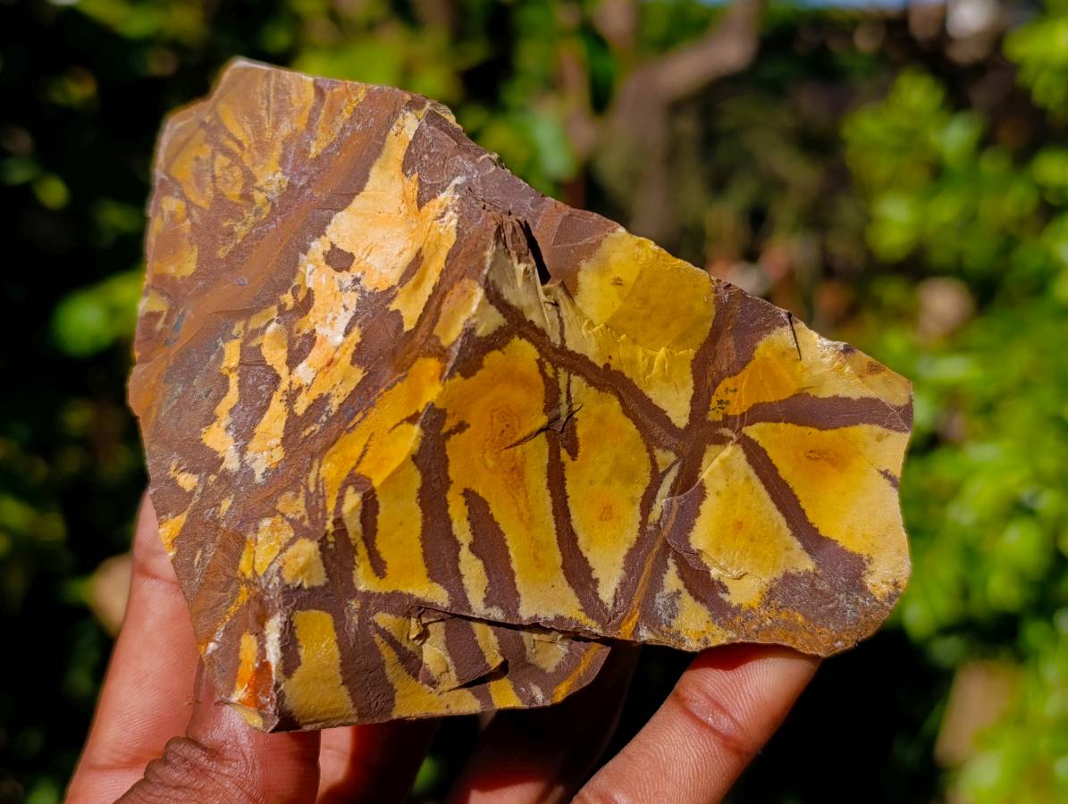 Natural Nguni Jasper Cobbed Specimens x 12 From Prieska, South Africa - Toprock Gemstones and Minerals 