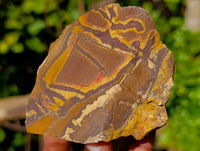 Natural Nguni Jasper Cobbed Specimens x 12 From Prieska, South Africa
