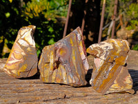 Natural Nguni Jasper Cobbed Specimens x 12 From Prieska, South Africa