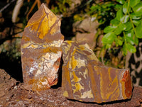 Natural Nguni Jasper Cobbed Specimens x 12 From Prieska, South Africa