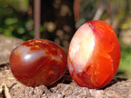 Polished Carnelian Agate Palm Stones x 35 From Madagascar - Toprock Gemstones and Minerals 