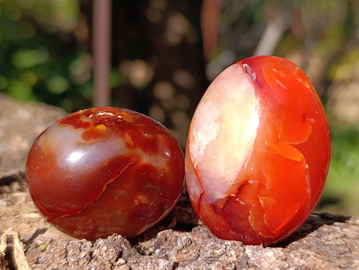 Polished Carnelian Agate Palm Stones x 35 From Madagascar - Toprock Gemstones and Minerals 