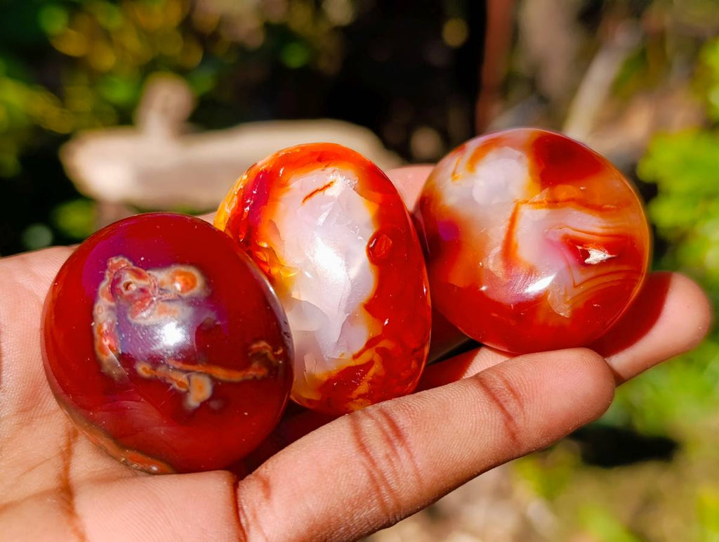 Polished Carnelian Agate Palm Stones x 35 From Madagascar - Toprock Gemstones and Minerals 