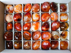 Polished Carnelian Agate Palm Stones x 35 From Madagascar - Toprock Gemstones and Minerals 