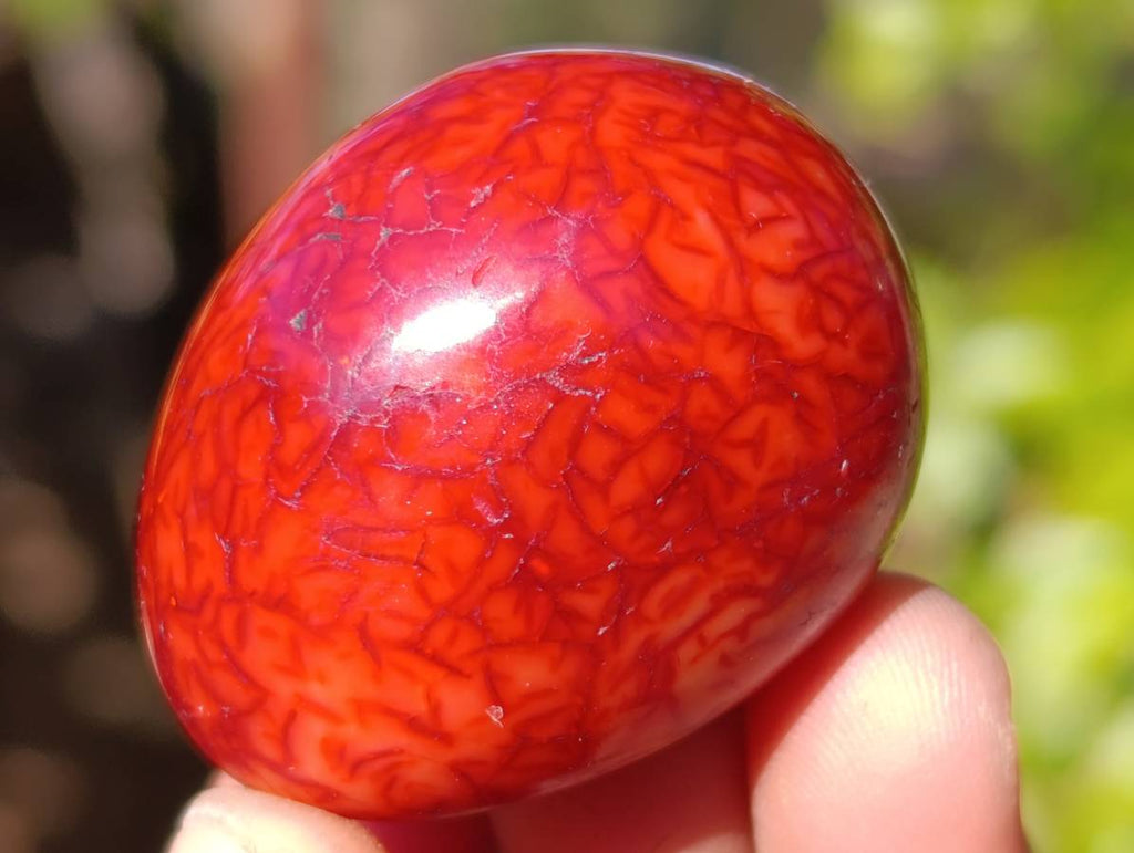 Polished Carnelian Agate Palm Stones x 35 From Madagascar - Toprock Gemstones and Minerals 