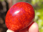Polished Carnelian Agate Palm Stones x 35 From Madagascar - Toprock Gemstones and Minerals 