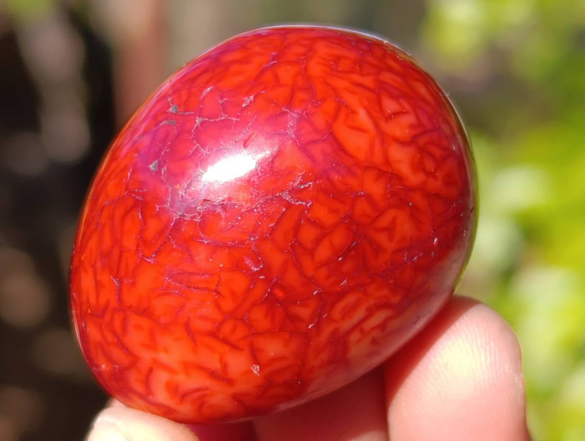 Polished Carnelian Agate Palm Stones x 35 From Madagascar - Toprock Gemstones and Minerals 