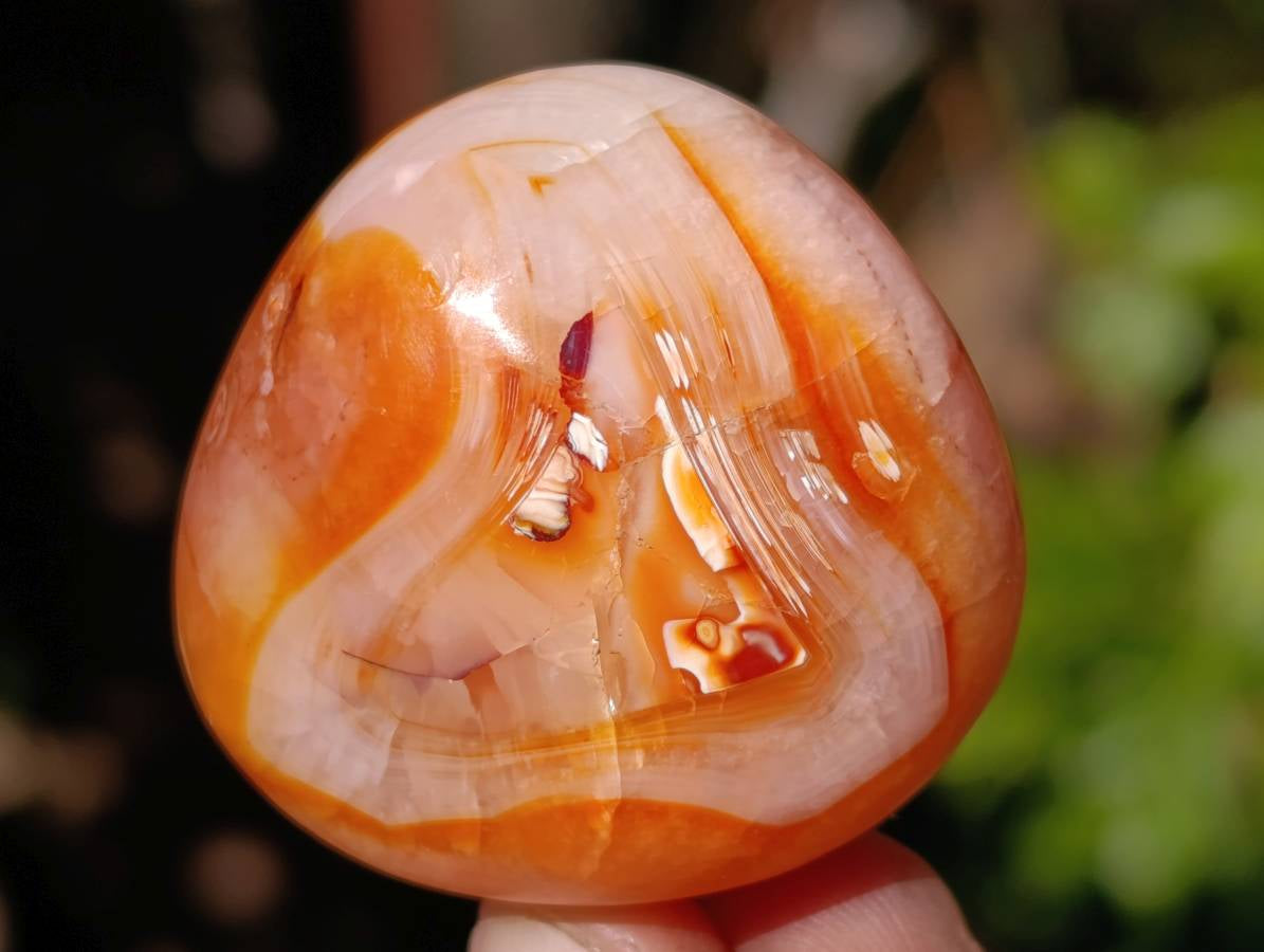 Polished Carnelian Agate Palm Stones x 35 From Madagascar - Toprock Gemstones and Minerals 
