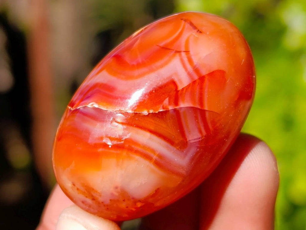 Polished Carnelian Agate Palm Stones x 35 From Madagascar - Toprock Gemstones and Minerals 