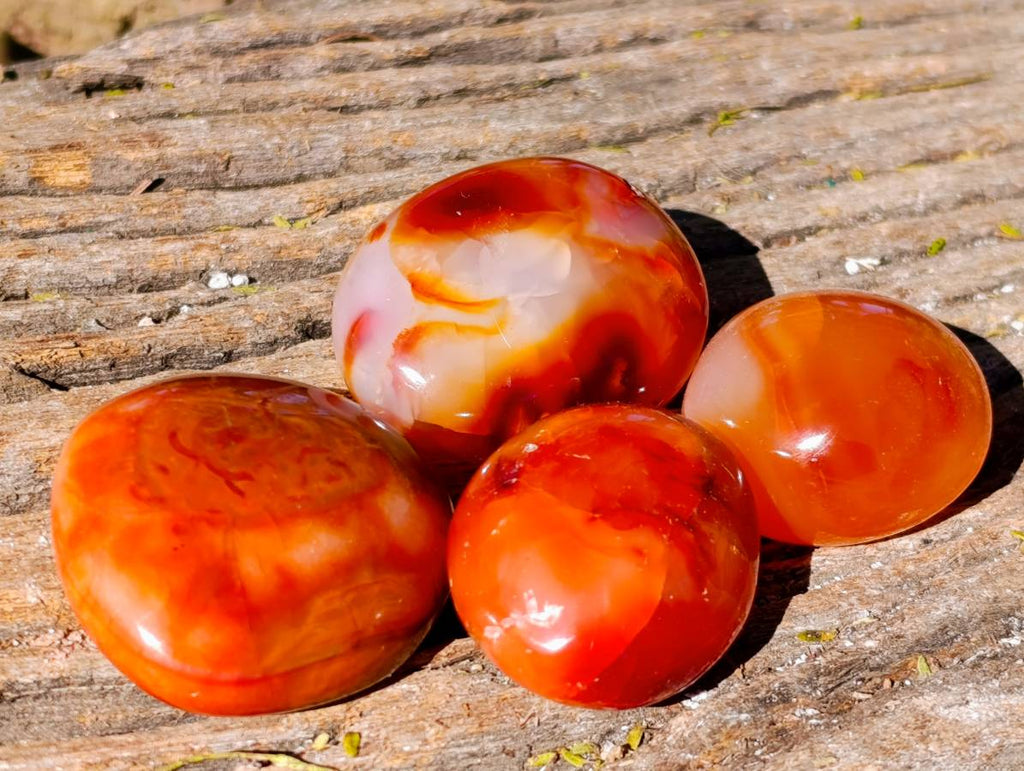Polished Carnelian Agate Palm Stones x 35 From Madagascar - Toprock Gemstones and Minerals 