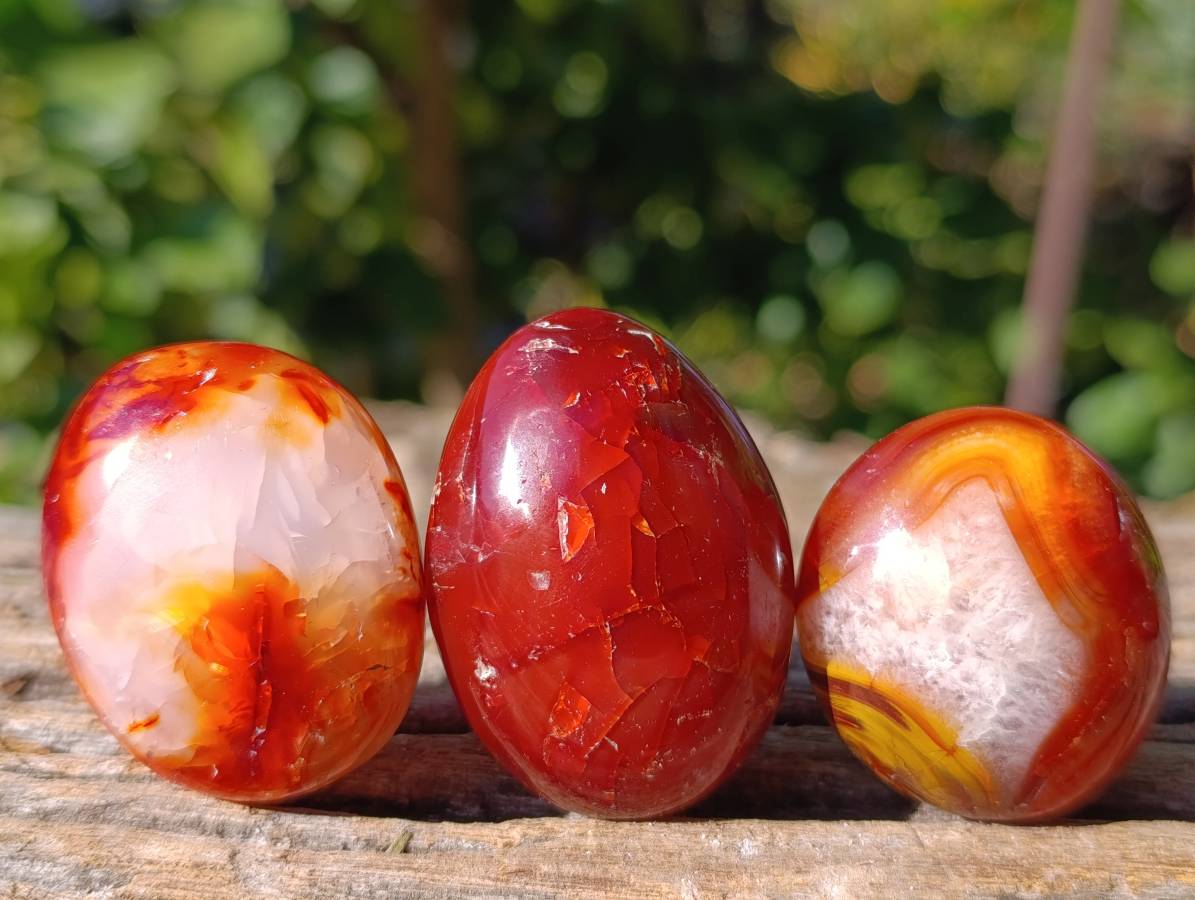 Polished Carnelian Agate Palm Stones x 35 From Madagascar - Toprock Gemstones and Minerals 