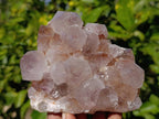 Natural Amethyst Spirit Quartz Clusters x 2 From Boekenhouthoek, South Africa - Toprock Gemstones and Minerals 