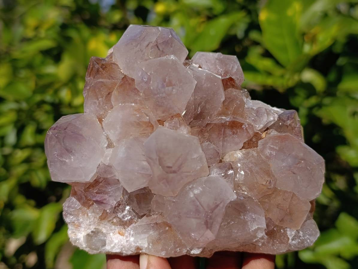 Natural Amethyst Spirit Quartz Clusters x 2 From Boekenhouthoek, South Africa - Toprock Gemstones and Minerals 