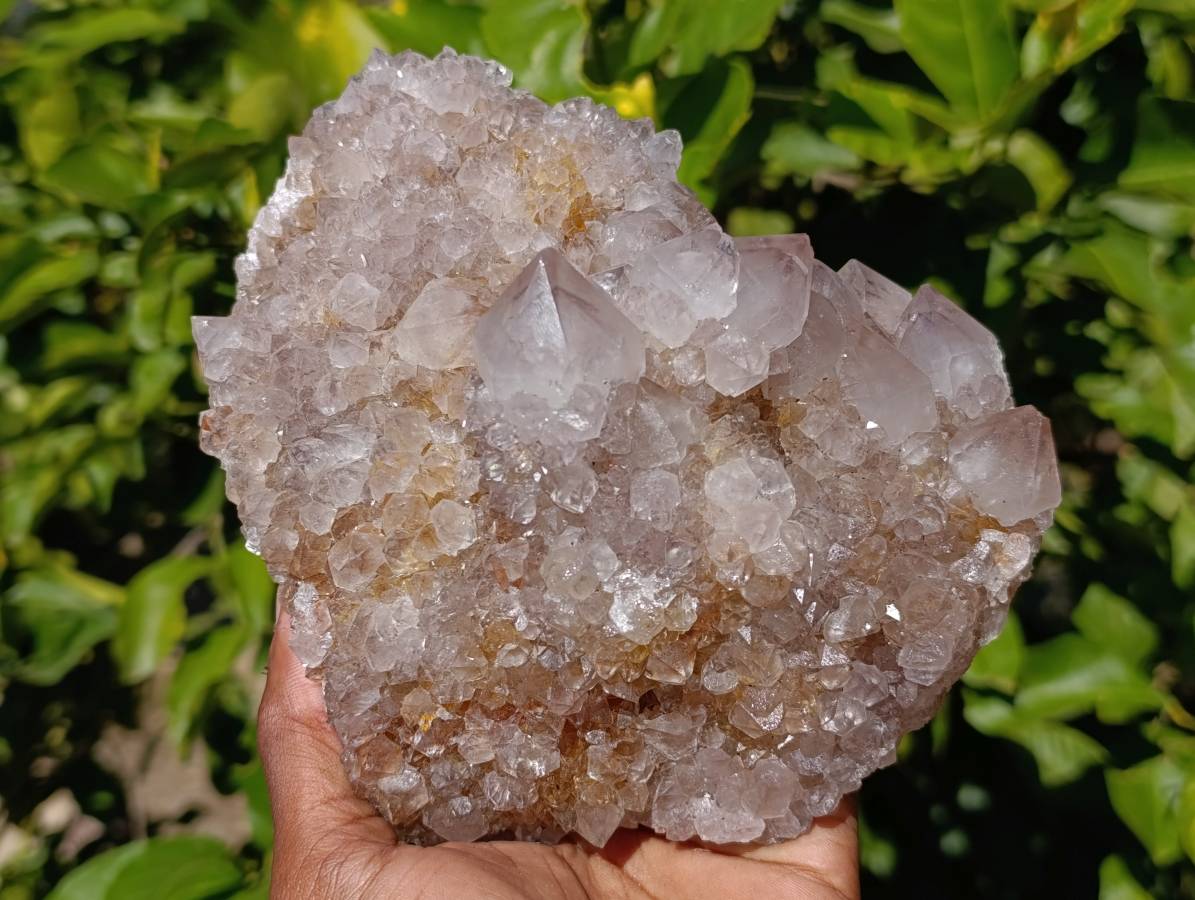 Natural Amethyst Spirit Quartz Clusters x 2 From Boekenhouthoek, South Africa - Toprock Gemstones and Minerals 