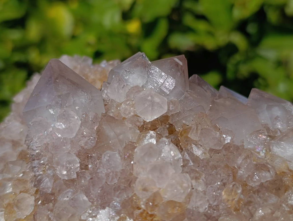 Natural Amethyst Spirit Quartz Clusters x 2 From Boekenhouthoek, South Africa - Toprock Gemstones and Minerals 