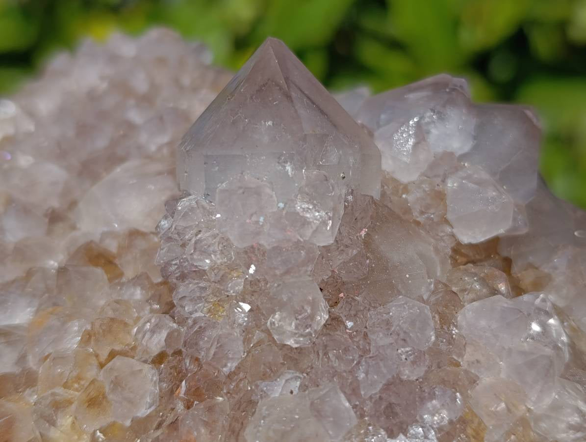 Natural Amethyst Spirit Quartz Clusters x 2 From Boekenhouthoek, South Africa - Toprock Gemstones and Minerals 