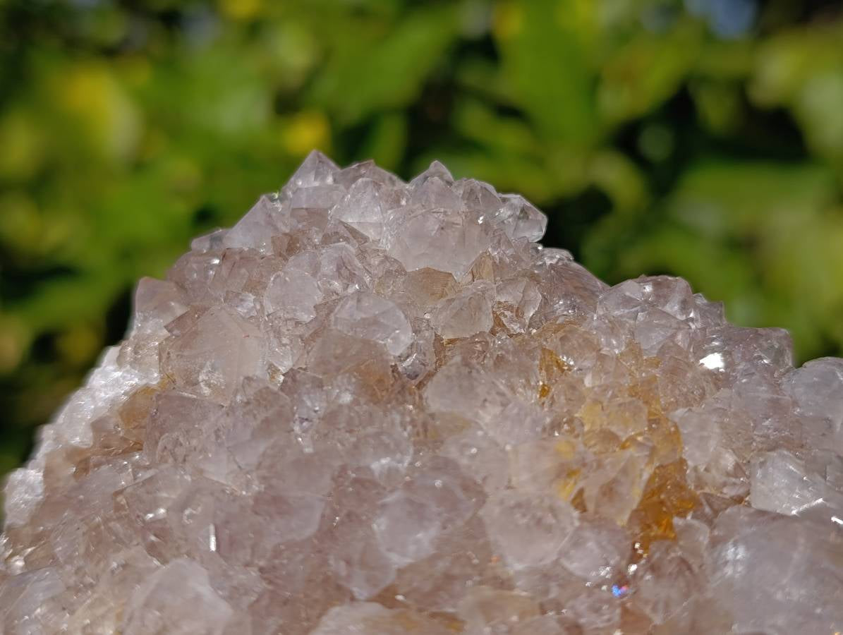 Natural Amethyst Spirit Quartz Clusters x 2 From Boekenhouthoek, South Africa - Toprock Gemstones and Minerals 