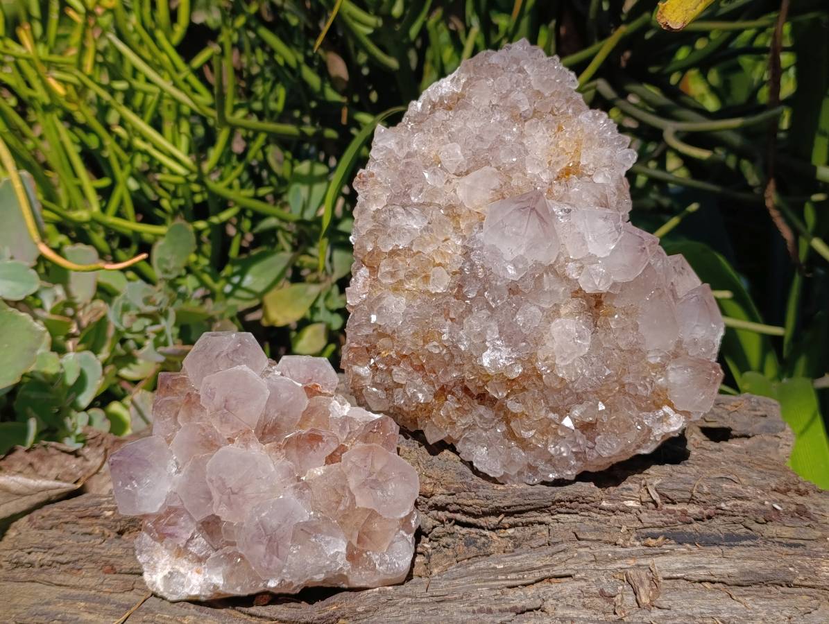 Natural Amethyst Spirit Quartz Clusters x 2 From Boekenhouthoek, South Africa - Toprock Gemstones and Minerals 