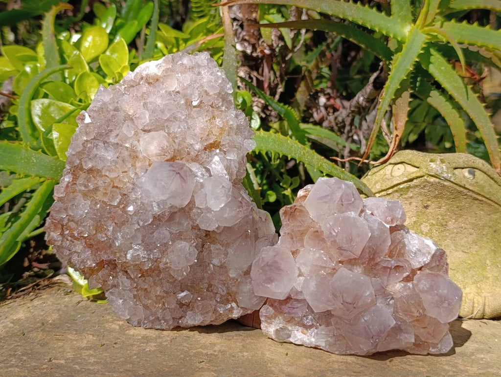 Natural Amethyst Spirit Quartz Clusters x 2 From Boekenhouthoek, South Africa - Toprock Gemstones and Minerals 