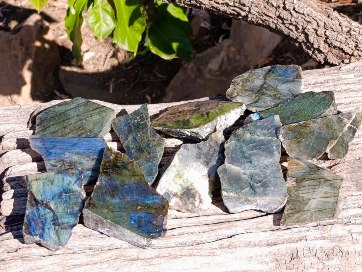 Polished On One Side Labradorite x 12 From Madagascar - Toprock Gemstones and Minerals 