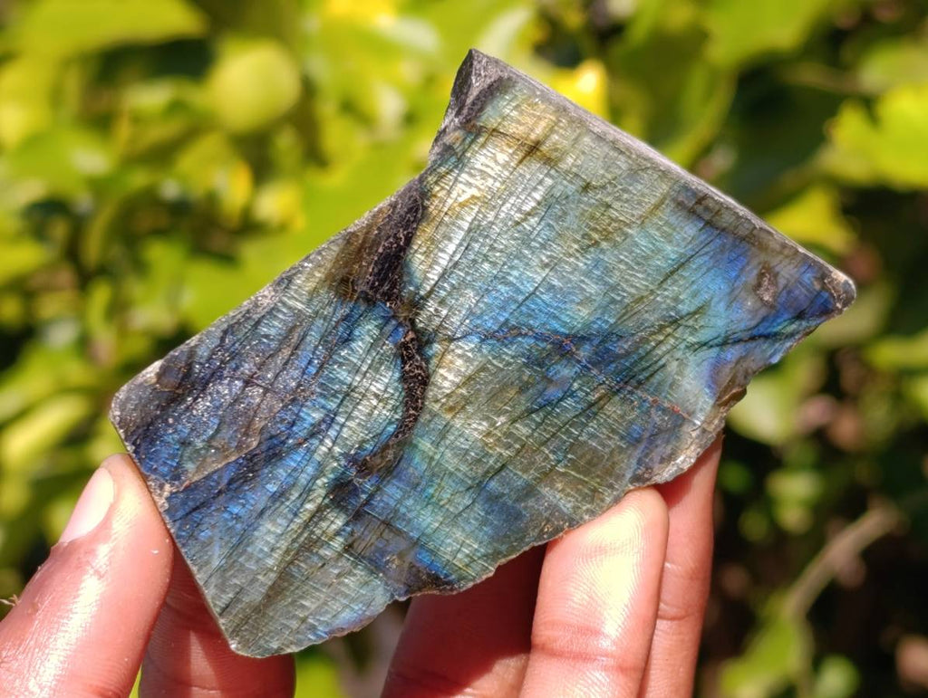 Polished On One Side Labradorite x 12 From Madagascar - Toprock Gemstones and Minerals 