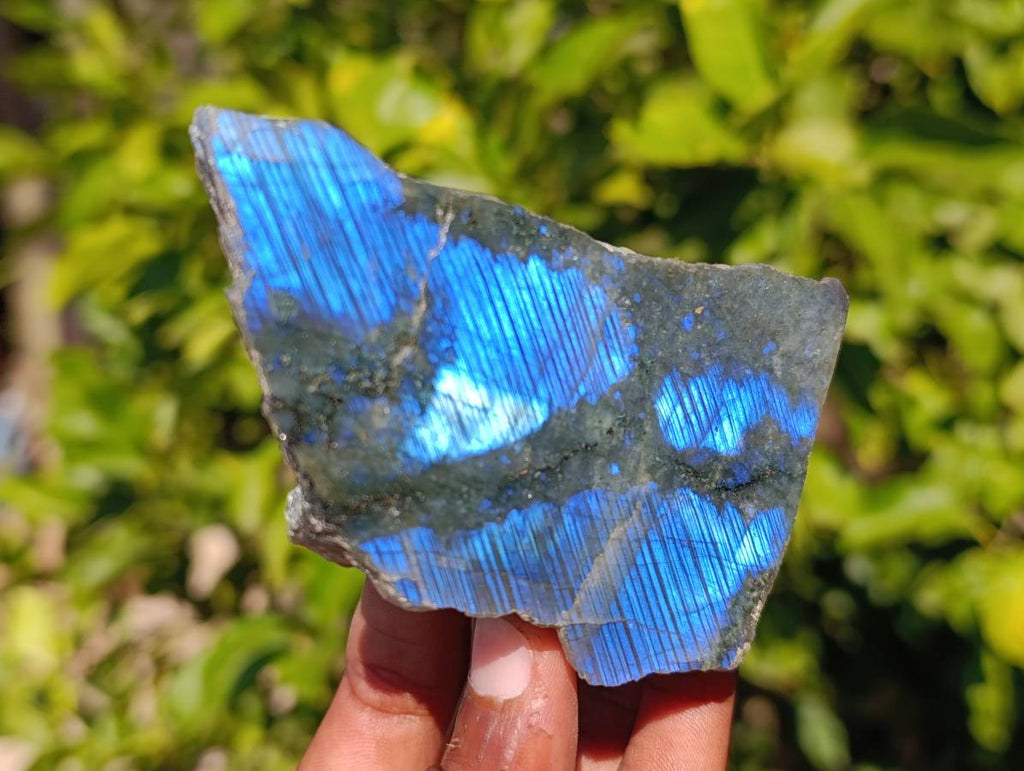 Polished On One Side Labradorite x 12 From Madagascar - Toprock Gemstones and Minerals 