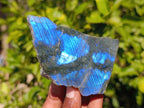 Polished On One Side Labradorite x 12 From Madagascar - Toprock Gemstones and Minerals 