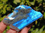 Polished On One Side Labradorite x 12 From Madagascar - Toprock Gemstones and Minerals 