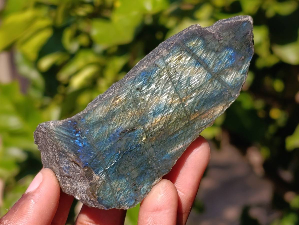 Polished On One Side Labradorite x 12 From Madagascar - Toprock Gemstones and Minerals 