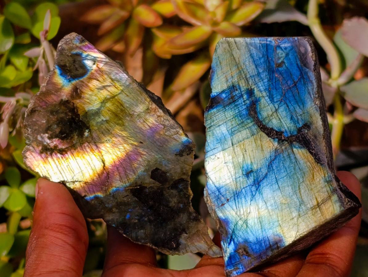 Polished On One Side Labradorite x 12 From Madagascar - Toprock Gemstones and Minerals 