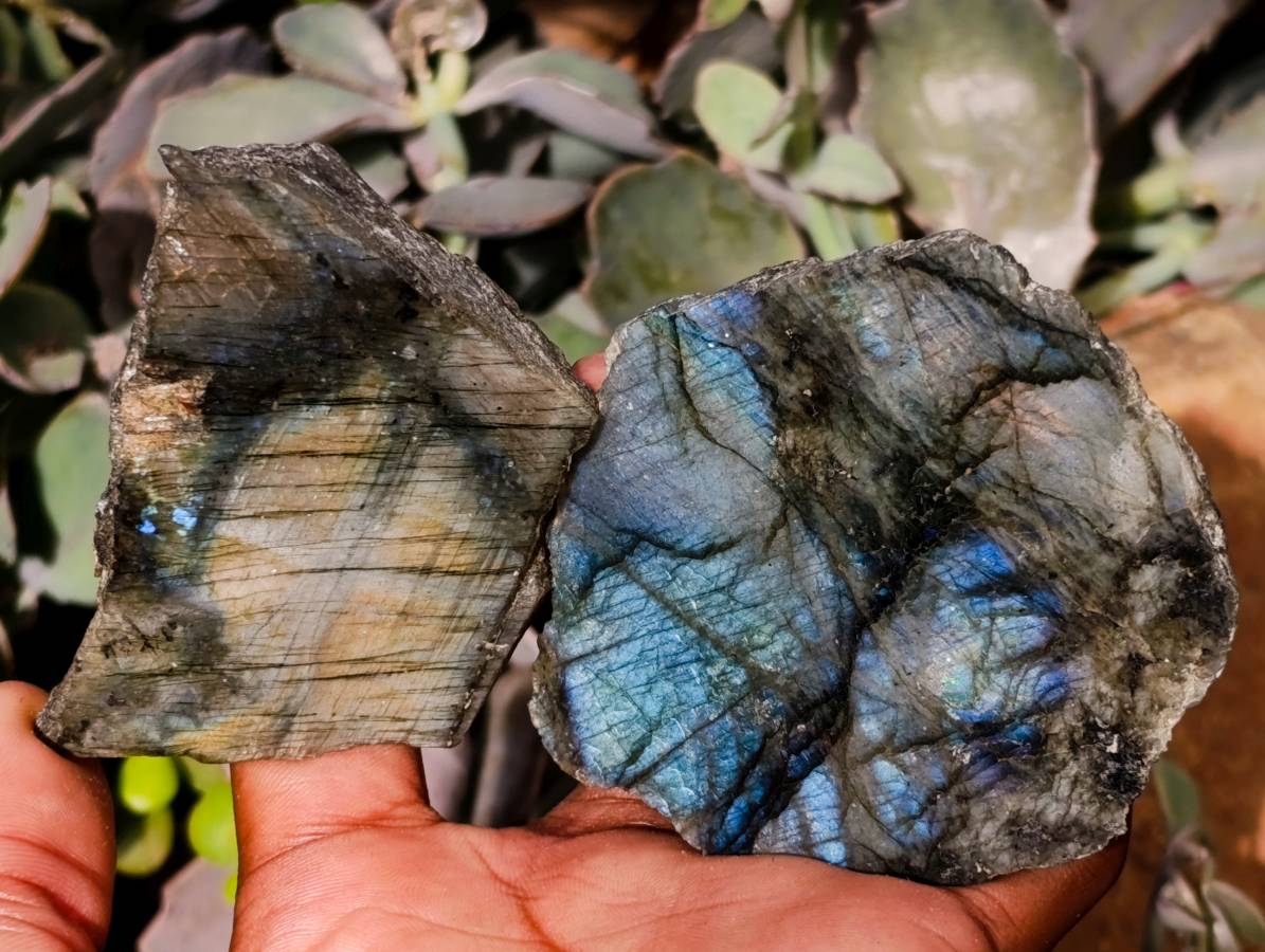 Polished On One Side Labradorite x 12 From Madagascar - Toprock Gemstones and Minerals 