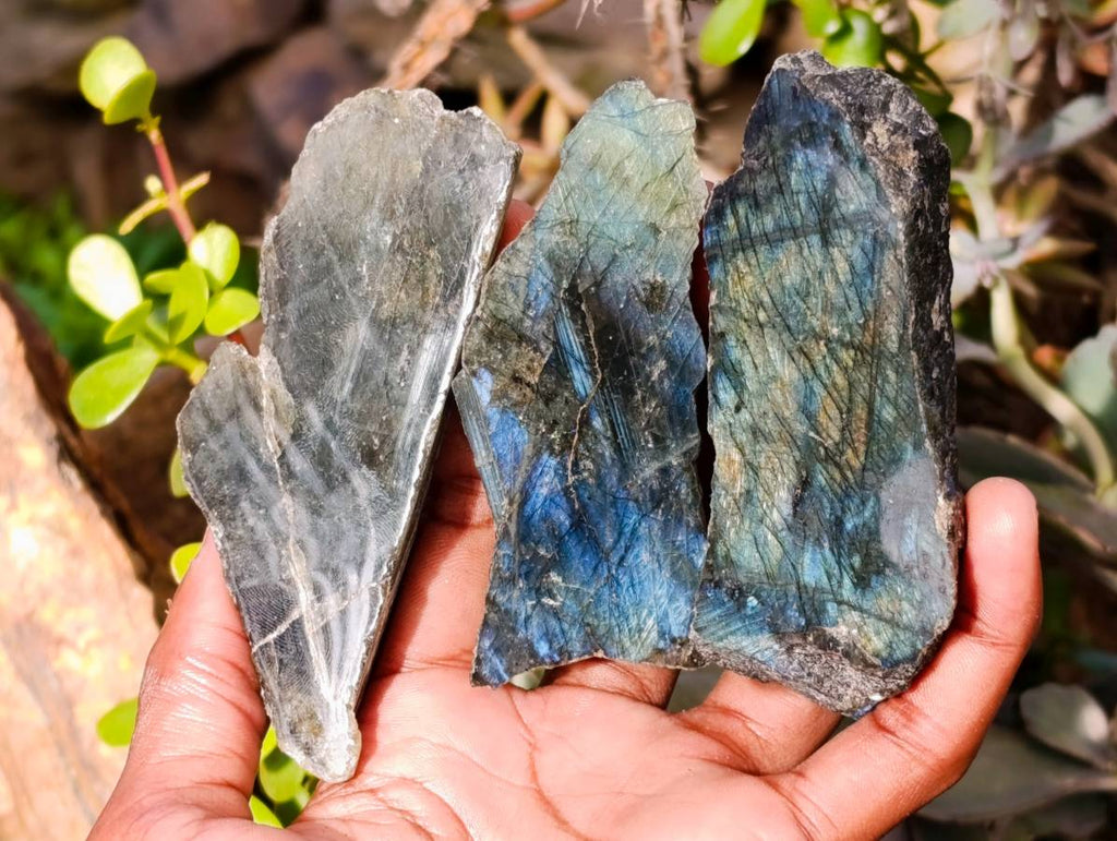 Polished On One Side Labradorite x 12 From Madagascar - Toprock Gemstones and Minerals 