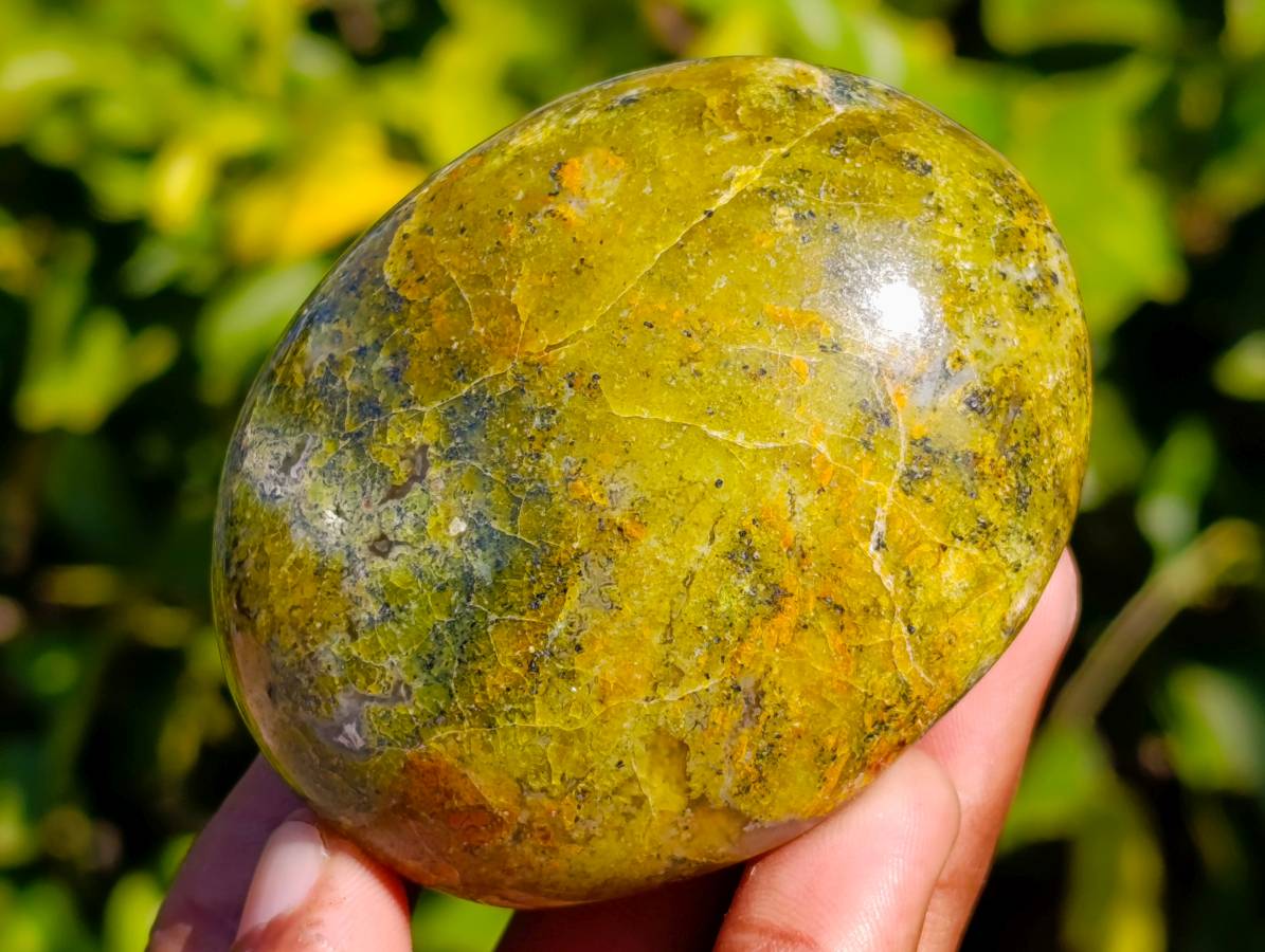 Polished Green Opal Palm Stones x 12 From Betroka, Madagascar - Toprock Gemstones and Minerals 
