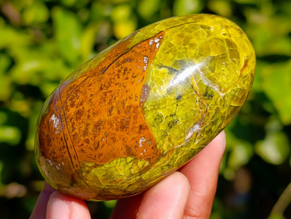Polished Green Opal Palm Stones x 12 From Betroka, Madagascar - Toprock Gemstones and Minerals 
