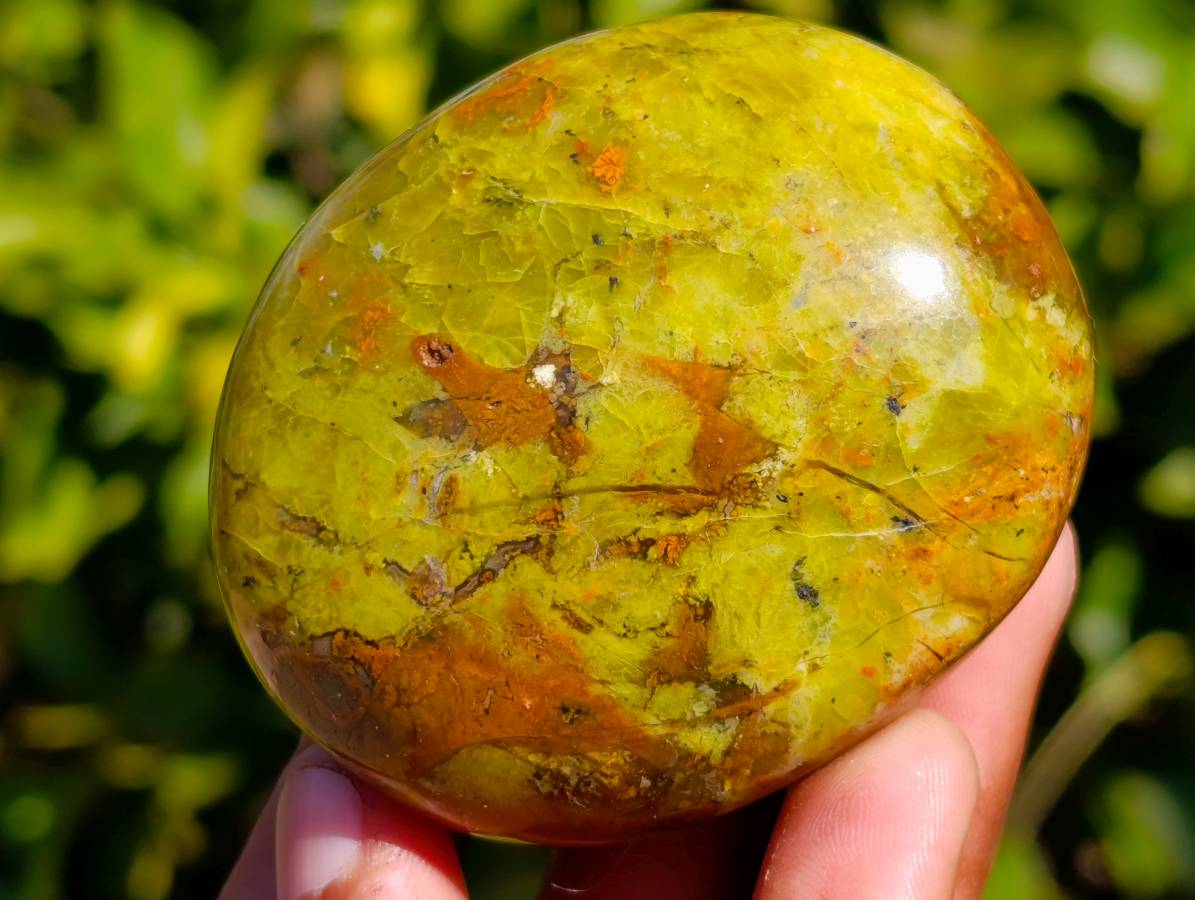Polished Green Opal Palm Stones x 12 From Betroka, Madagascar - Toprock Gemstones and Minerals 