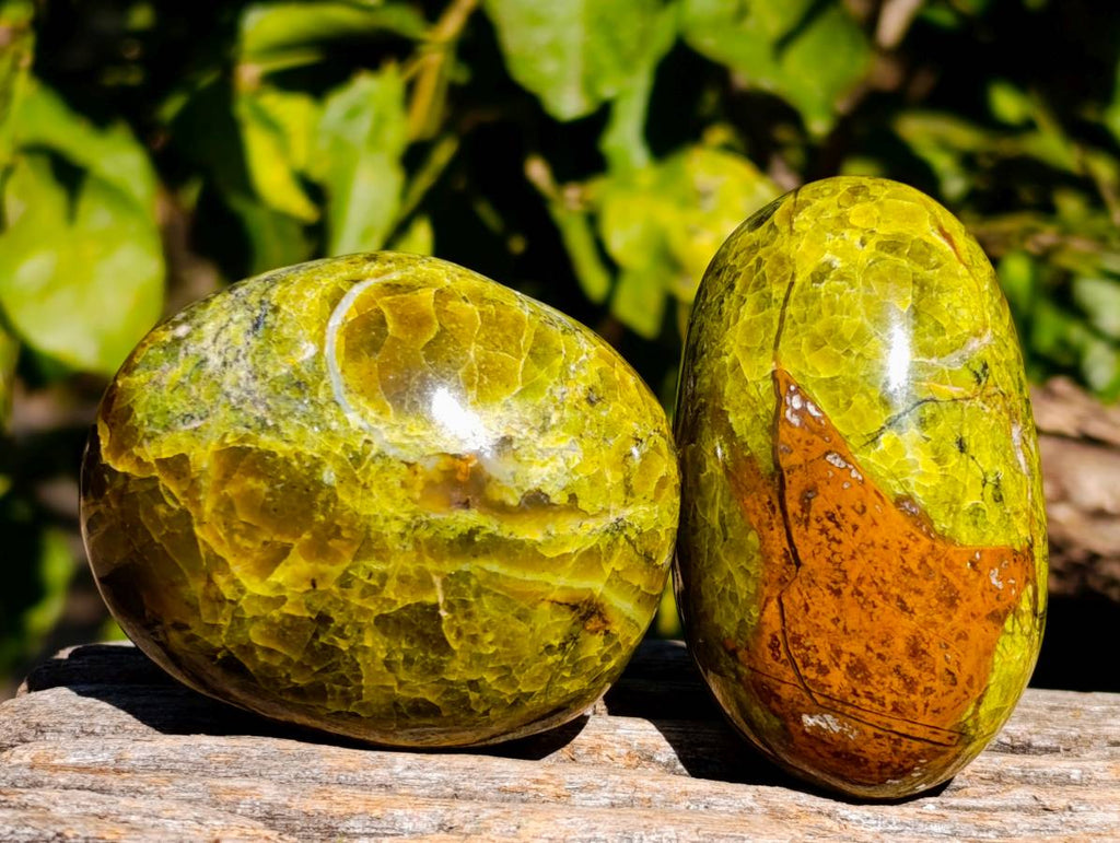 Polished Green Opal Palm Stones x 12 From Betroka, Madagascar - Toprock Gemstones and Minerals 